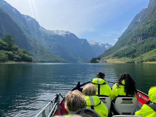 Scenic rail journey through Norway fjords – Traveling Professor tour